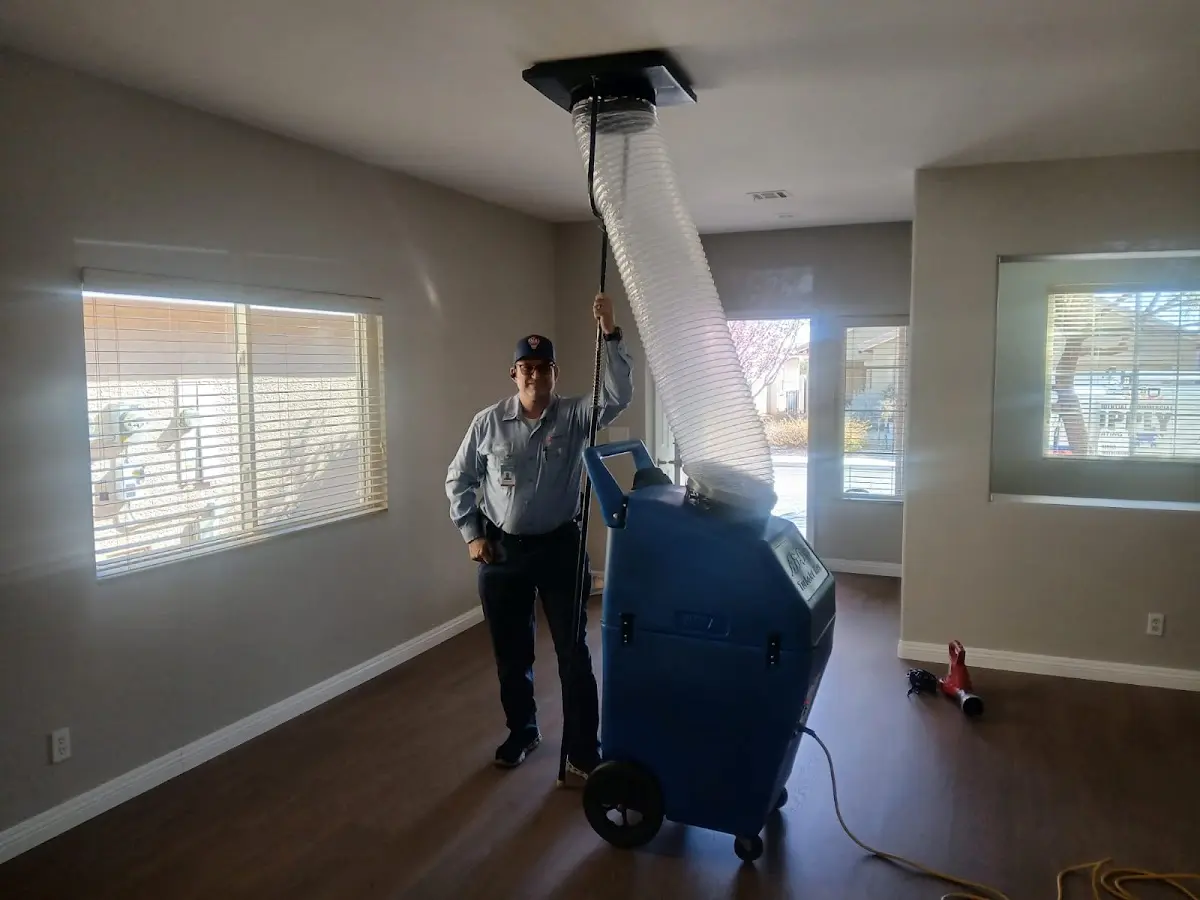 Professional Dryer Vent Cleaning work inside a Roselle home